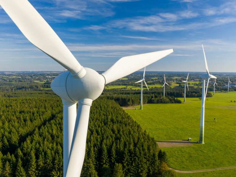 Empower, transform, sustain | Servita