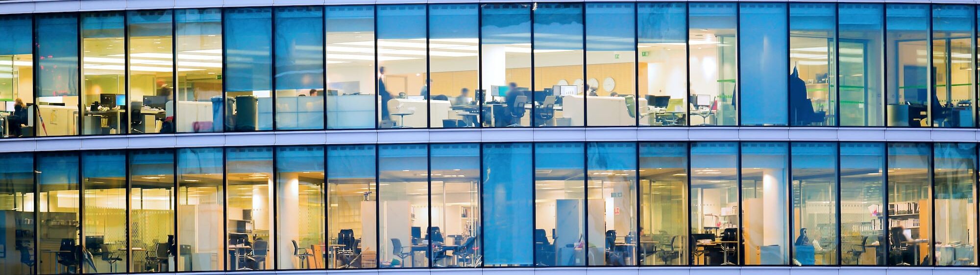 Professional-Services-Servita-aspect-ratio-1140-320