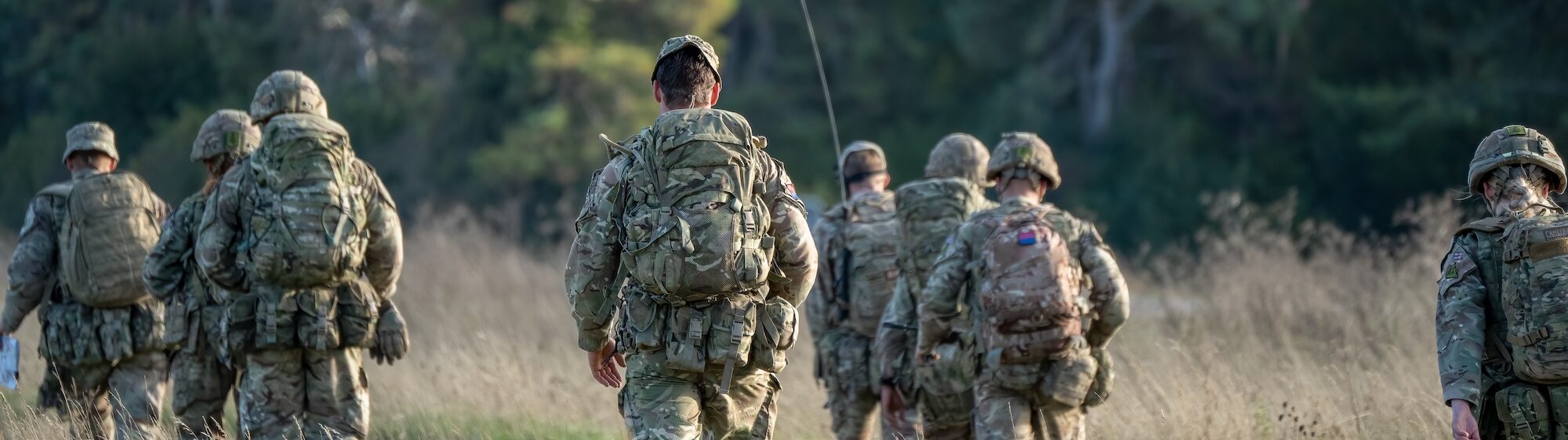 Servita-MOD-Case-Study-aspect-ratio-1140-320