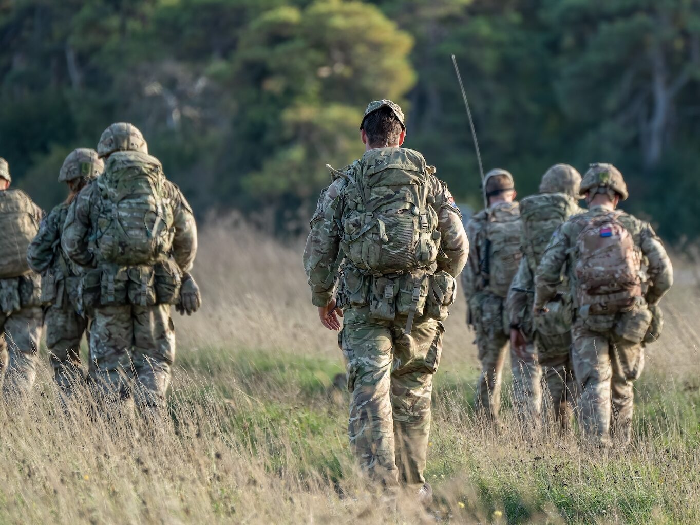 Servita-MOD-Case-Study-aspect-ratio-580-435